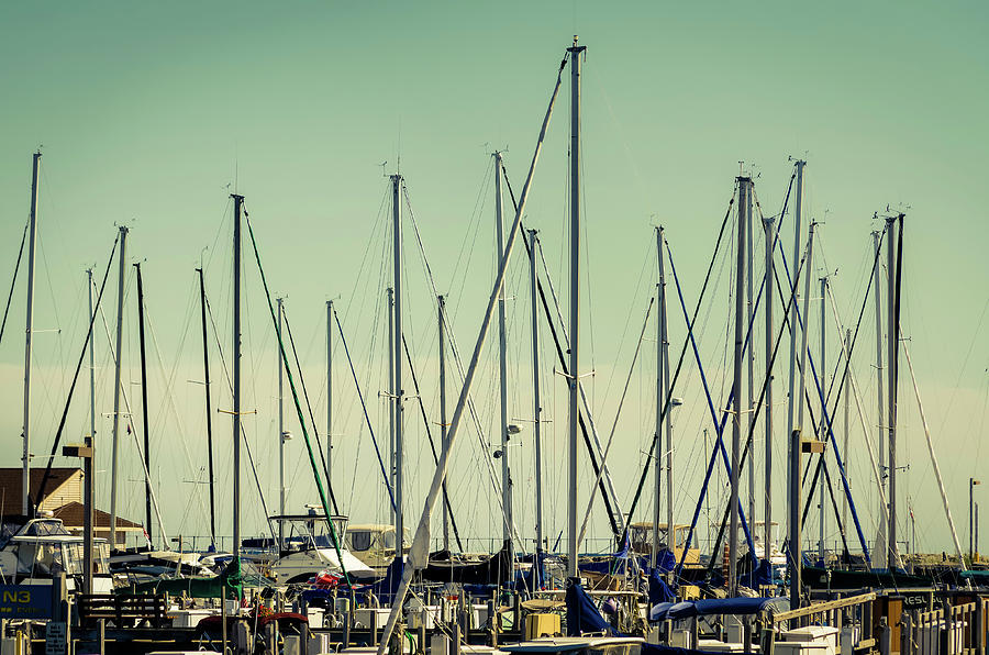 Harbor Masts Photograph by Jim Shackett