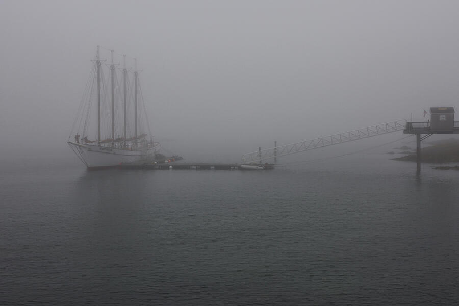 Nature Photograph - Harbor Mist by Allen Beatty