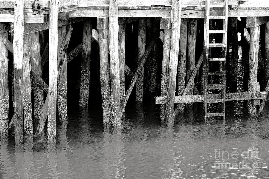 Harbor Pier Pilings and Ladder Photograph by Olivier Le Queinec