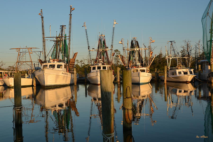 Harbor Reflections Photograph by Dan Williams