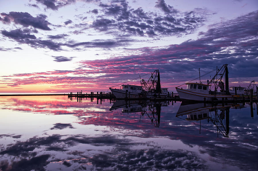 Harbor Reflections Photograph by Ty Husak