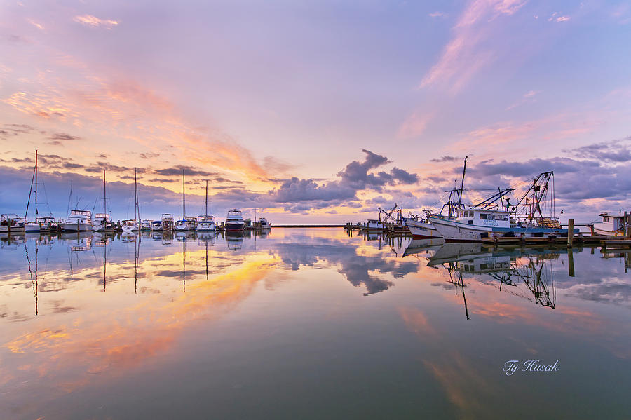 Harbor Sunrise Photograph by Ty Husak