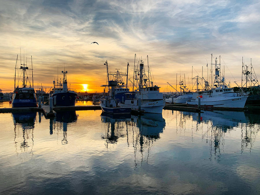 Harbor Sunset Photograph by Brian Eberly