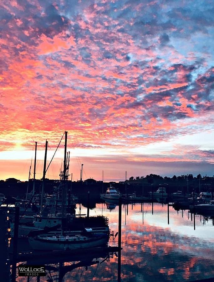 Harbor Reflections Photograph by Mindy Warriner - Fine Art America