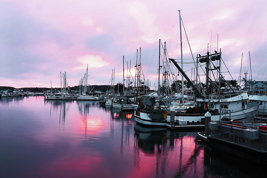 Harbor Sunset Photograph by Rick Perkins