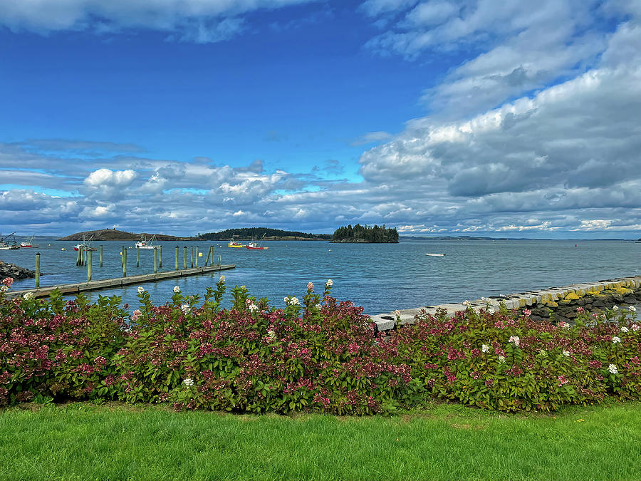Harbor View at Lubec Maine Photograph by Bill Swartwout