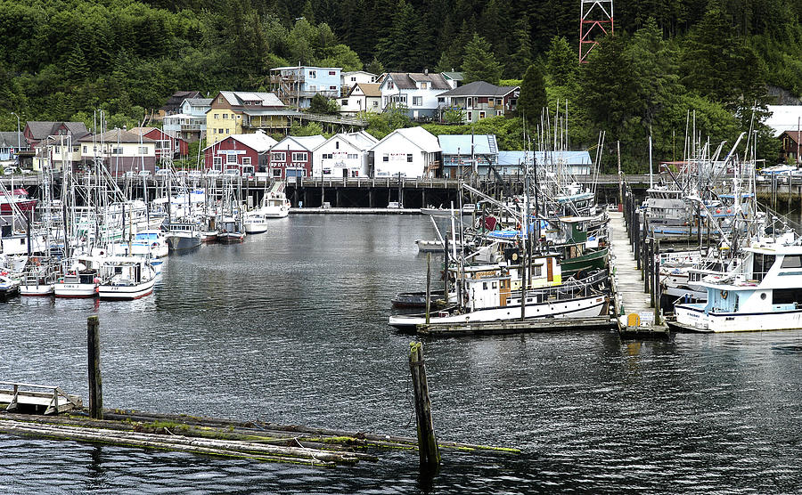 Harbor with Boats in Ketchikan Alaska Photograph by James C Richardson