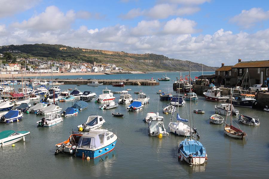 Harbour at Lyme Photograph by Michaela Perryman