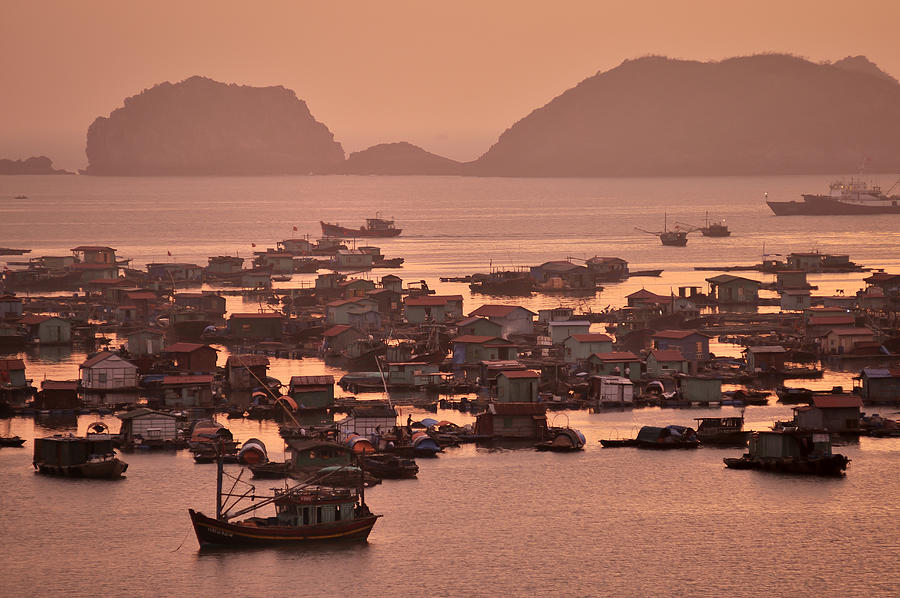 Harbour of Cat Ba, Halong Bay, Vietnam, Southeast Asia Photograph by Gerhard Zwerger-Schoner
