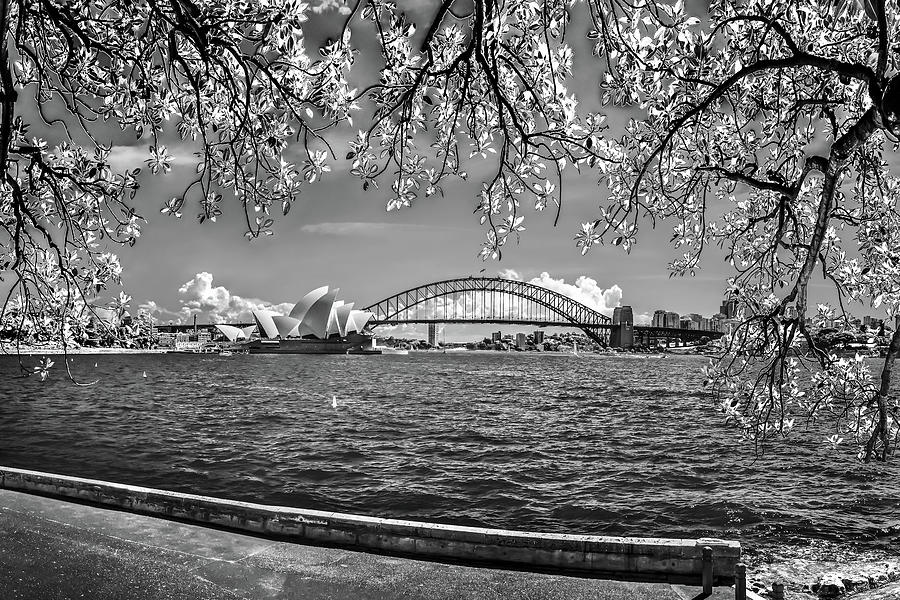 Sydney Skyline Photograph - Harbour View BW by Az Jackson