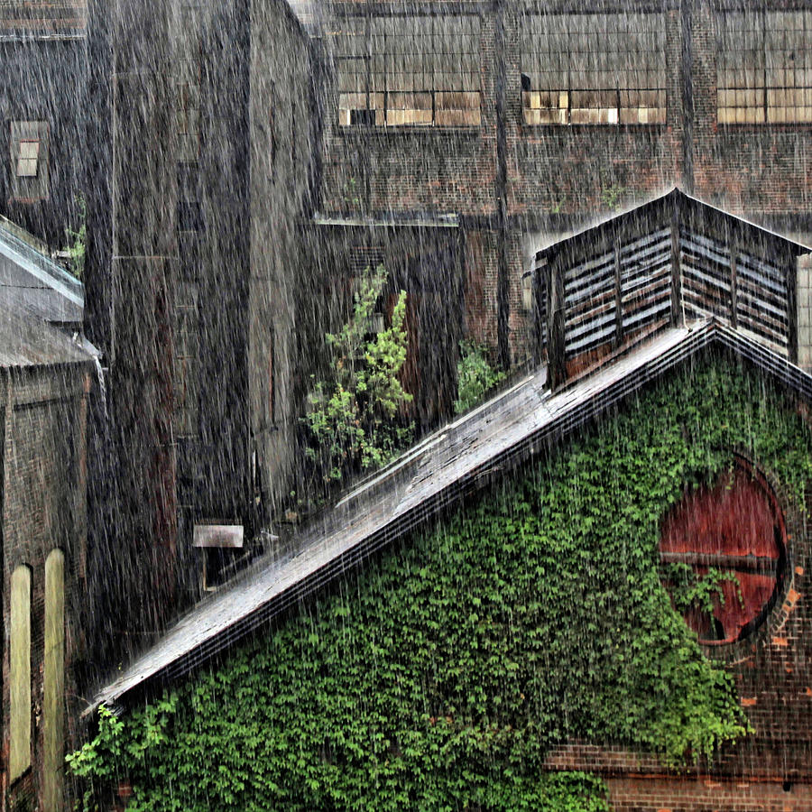Hard Rain Photograph by DJ Florek