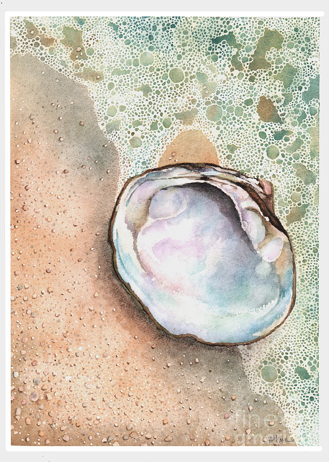 Hard Shell Clam Painting by Hilda Wagner