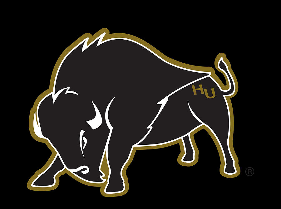 Harding Bisons Digital Art by Blyhte Camilla - Fine Art America