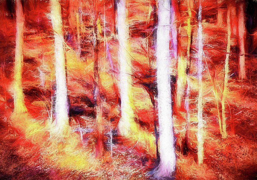 Hardwoods Aglow ap Painting by Dan Carmichael