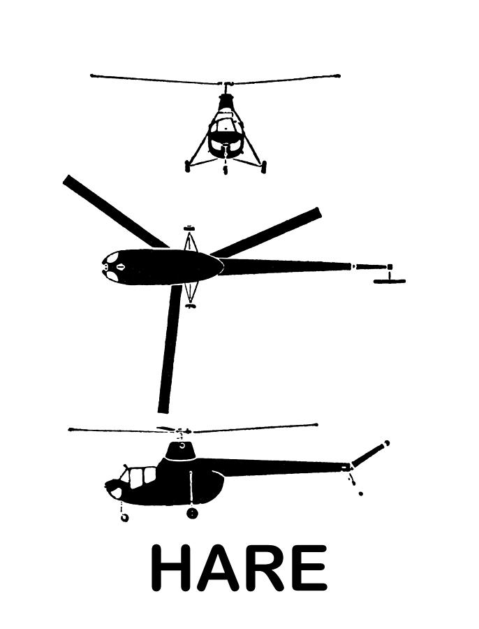 Hare Helicopter Digital Art by Roy Pedersen