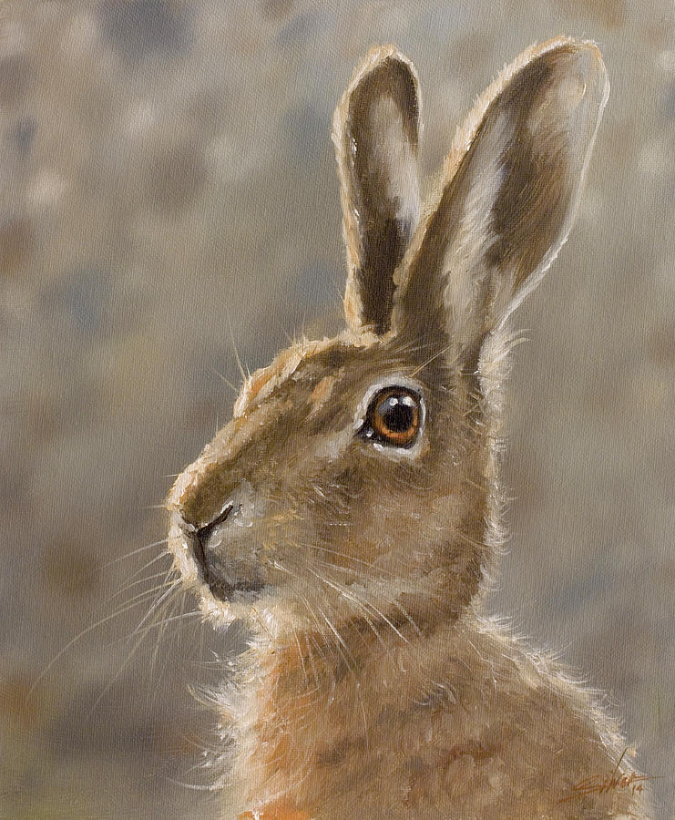 Hare portrait II Painting by John Silver