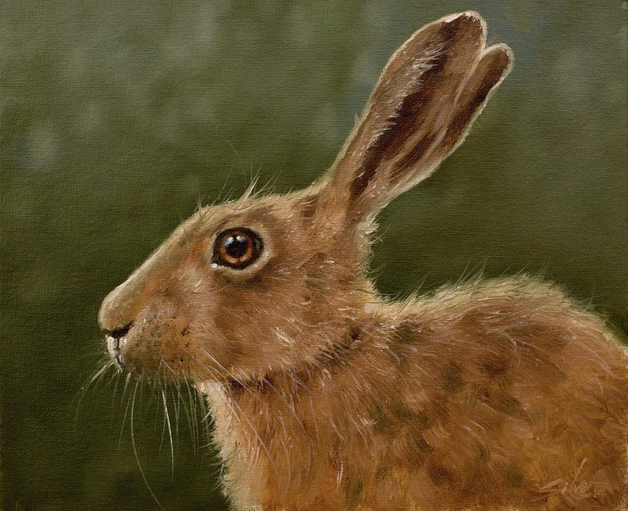 Hare Portrait III Painting by John Silver