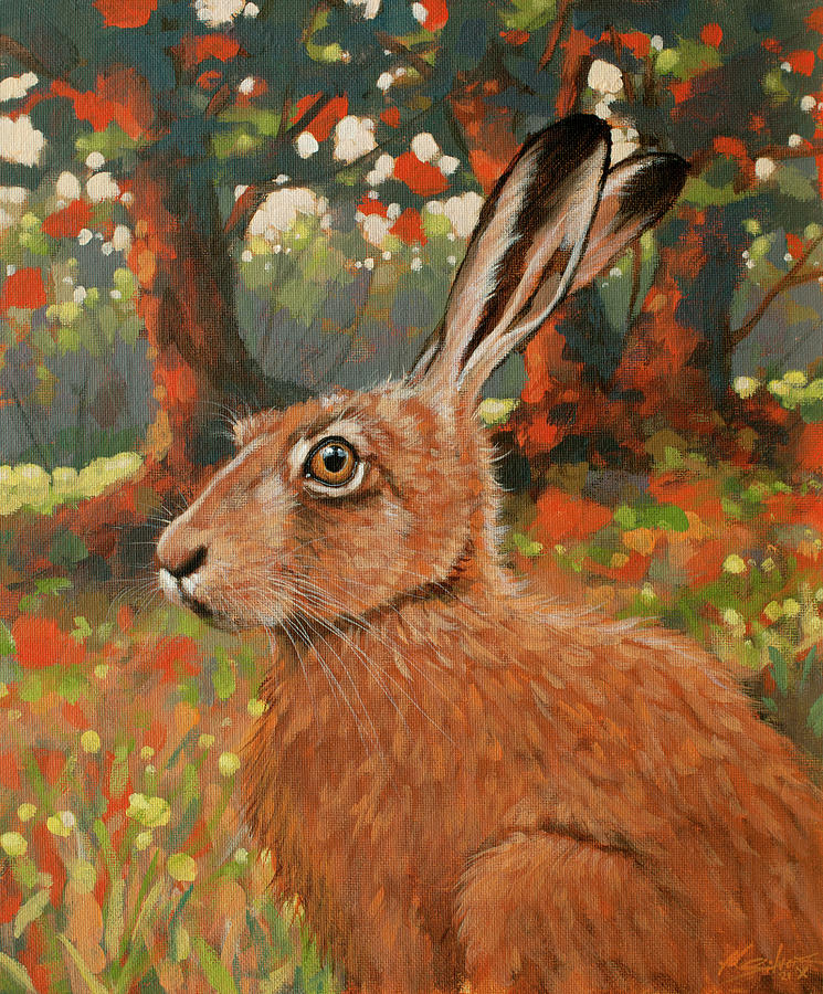 Hare portrait W727 Painting by John Silver