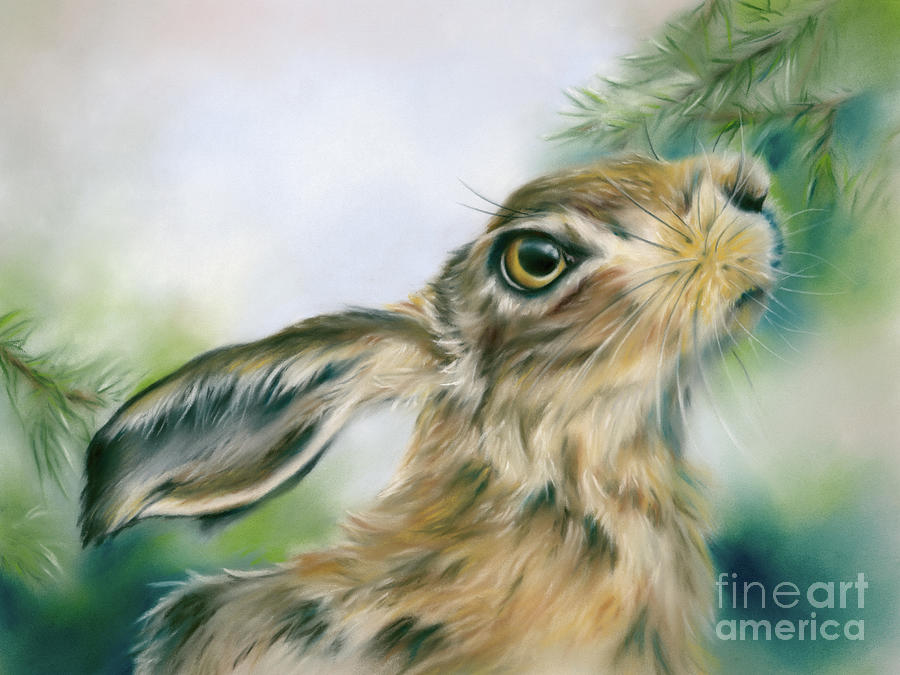 Hare Scenting the Approach of Winter Painting by MM Anderson