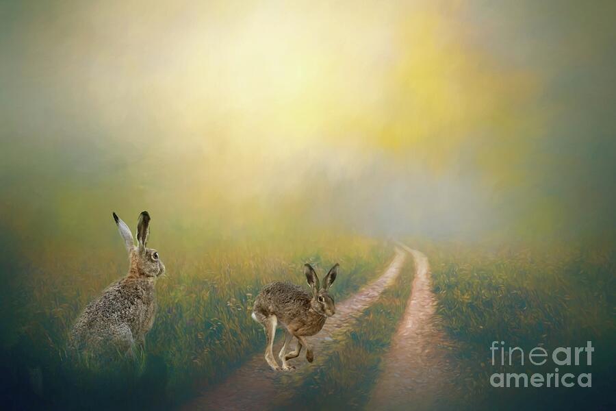 Hares In The Field Mixed Media by Eva Lechner