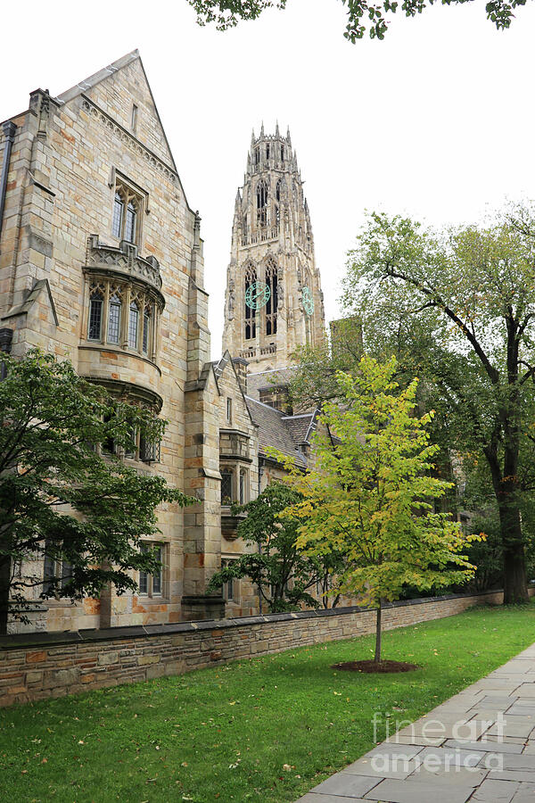 Harkness Tower Yale University 3569 Photograph