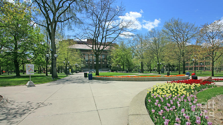 Harlan Hatcher Graduate Library University of Michigan 6188 Photograph by Jack Schultz