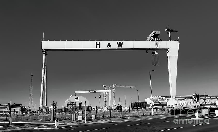 Harland and Wolff cranes  Photograph by Nina Ficur Feenan