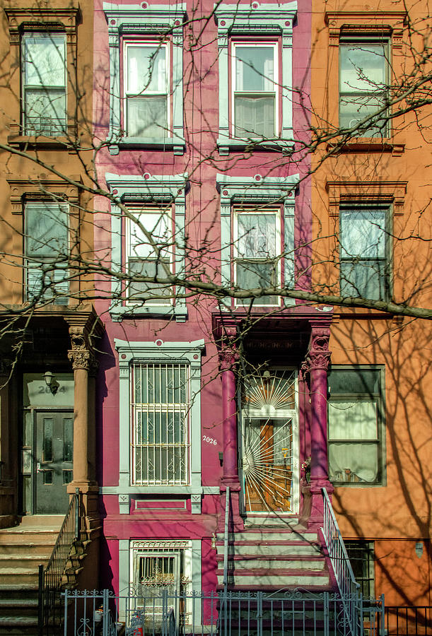 Harlem Living, NYC Photograph by Marcy Wielfaert