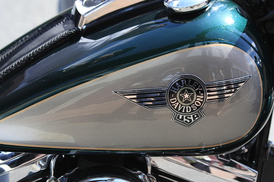 Harley Davidson Photograph by Ann Murphy