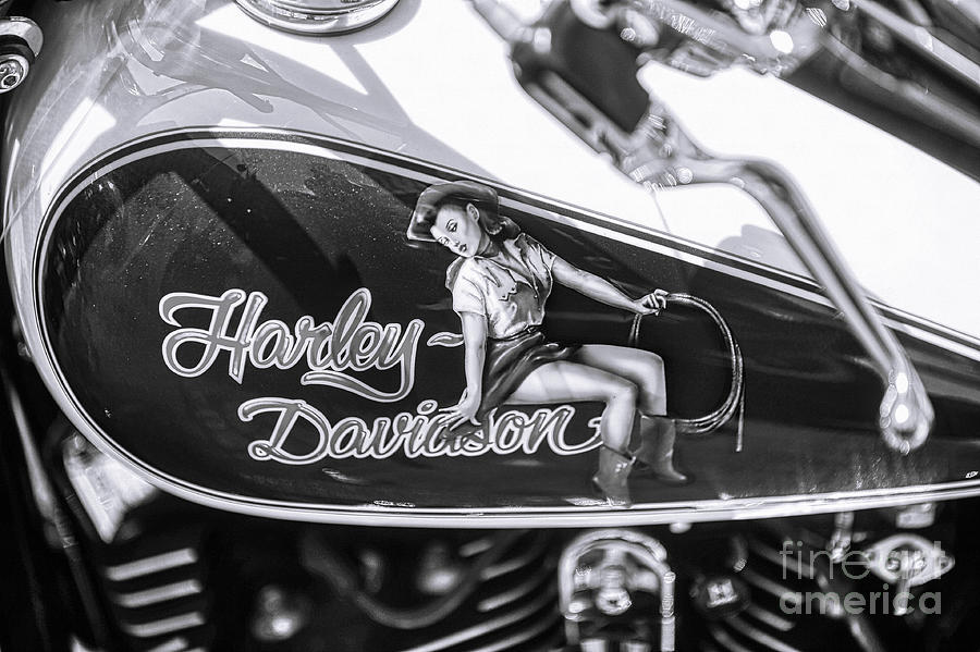 Pipe Photograph - Harley Davidson Pin Up by Stefano Senise