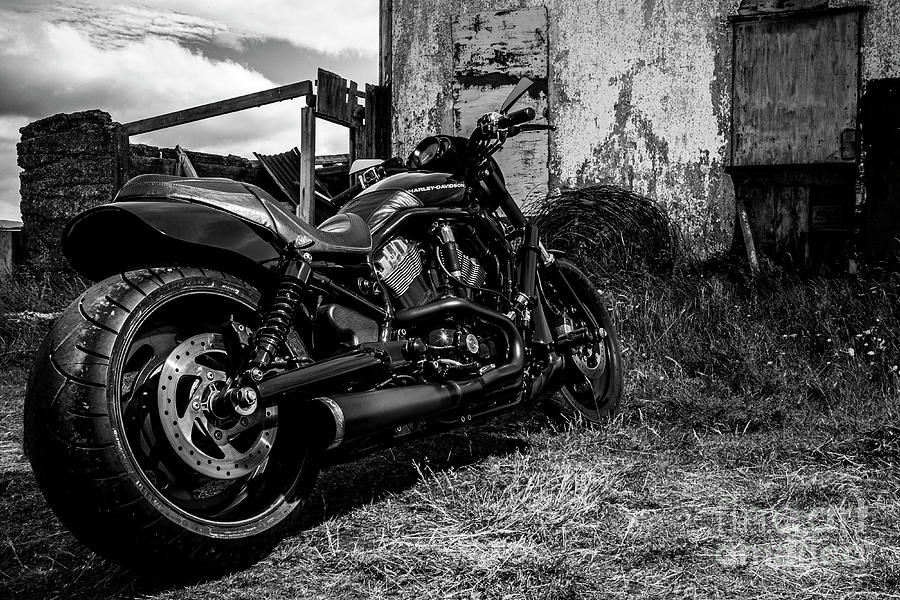 Harley Davidson V-rod night rod vrscd Photograph by Gunnar Orn Arnason