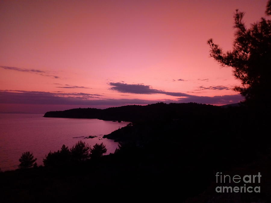 Harmony of Purple Sunset  Photograph by Leonida Arte