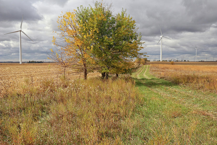 Harnessing an Autumn Wind Photograph by Scott Kingery