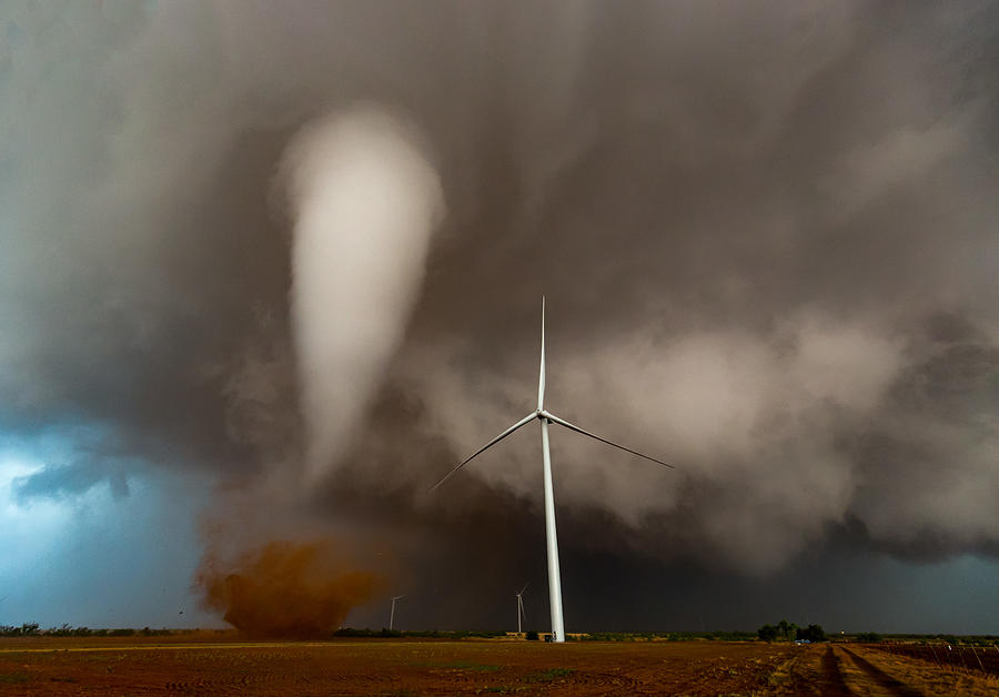 Harnessing The Wind Photograph By Trischa Sheridan - Pixels