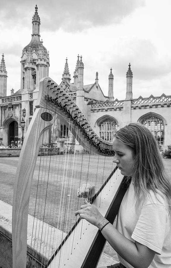 Harp At Cambridge England Photograph
