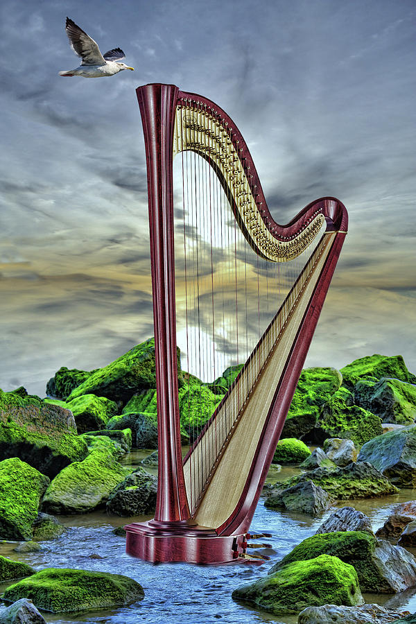 Harp on the Beach Digital Art by Angel Jesus De la Fuente