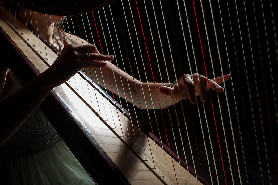 Harp player Photograph by Volkankovancisoy
