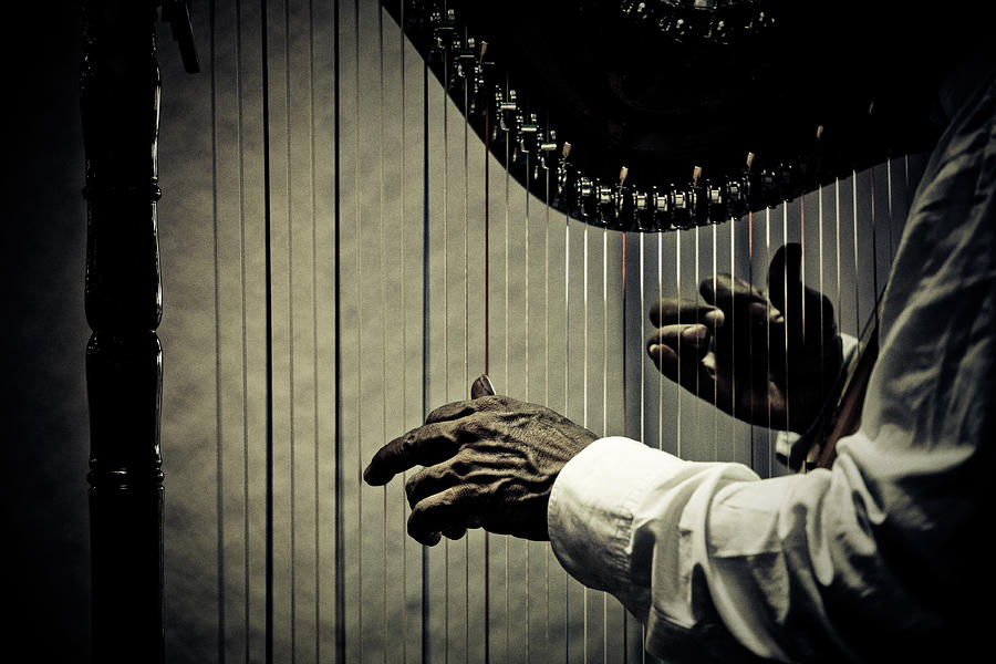 Harp Photograph by Thepalmer