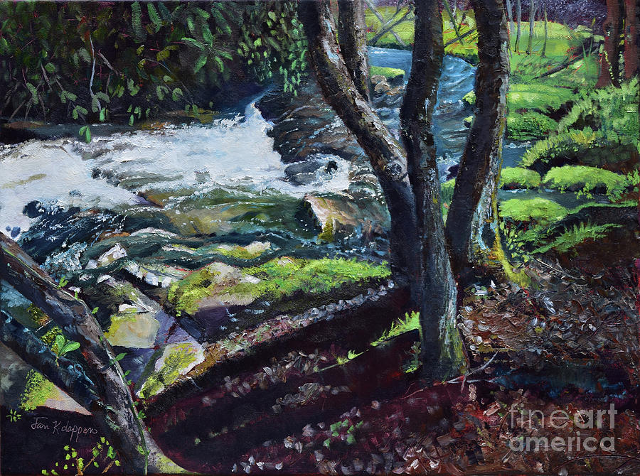 Harpers Bend-Harpers Creek - Ellijay GA Painting by Jan Dappen
