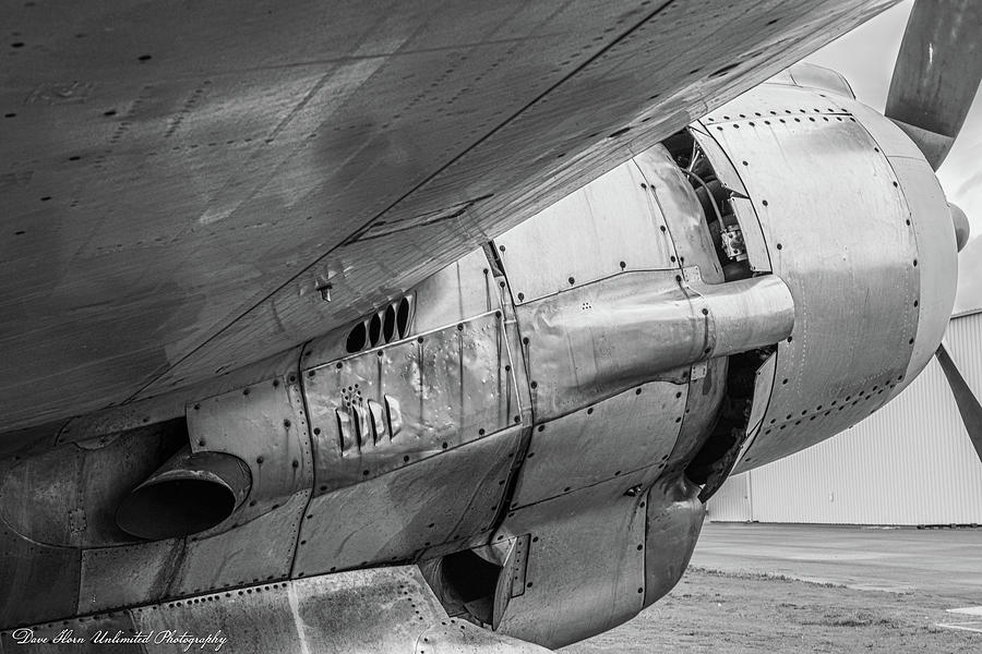 Harpoon in Black and White Photograph by David Horn - Fine Art America