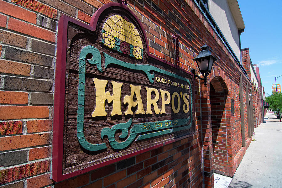 Harpos Photograph by Steve Stuller