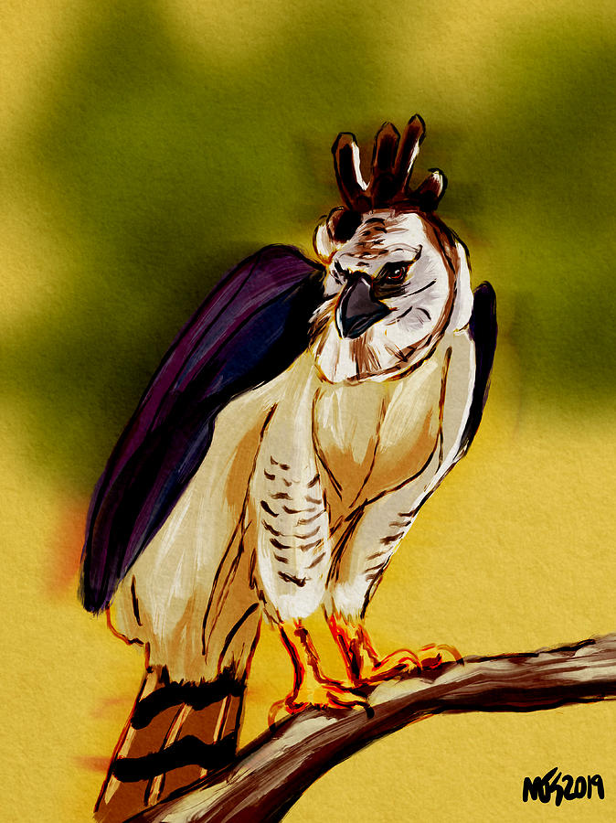 Harpy Eagle Digital Art by Michael Kallstrom - Pixels
