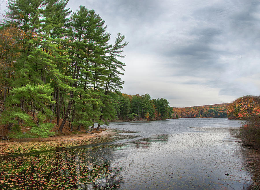 Harriman State Park Photograph by Eleanor Bortnick - Fine Art America