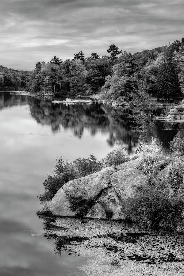 Harriman State Park In Fall BW Photograph by Susan Candelario
