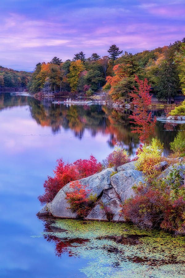 Harriman State Park In Fall Photograph by Susan Candelario