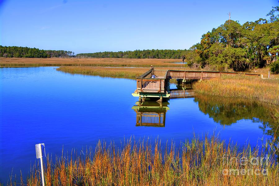 Harris Neck Wildlife Preserve Georgia Photograph by Paul Lindner - Fine ...