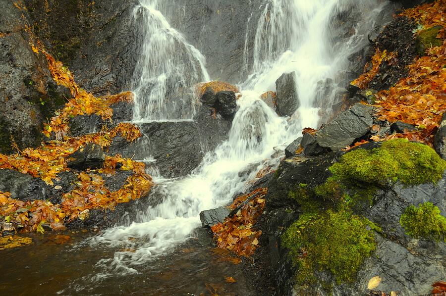 Harrison Lake Road Waterfall Photograph by Lawrence Christopher