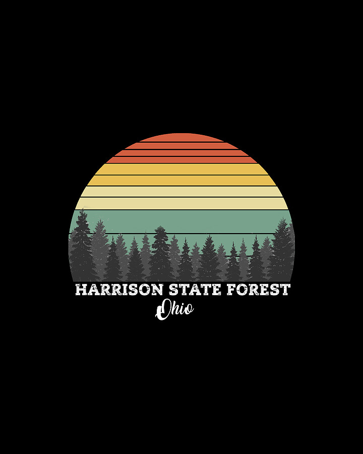 Harrison State Forest Ohio Drawing by Bruno Fine Art America
