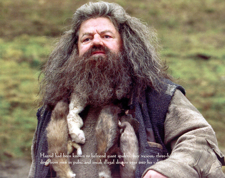 hagrid rubeus harry potter