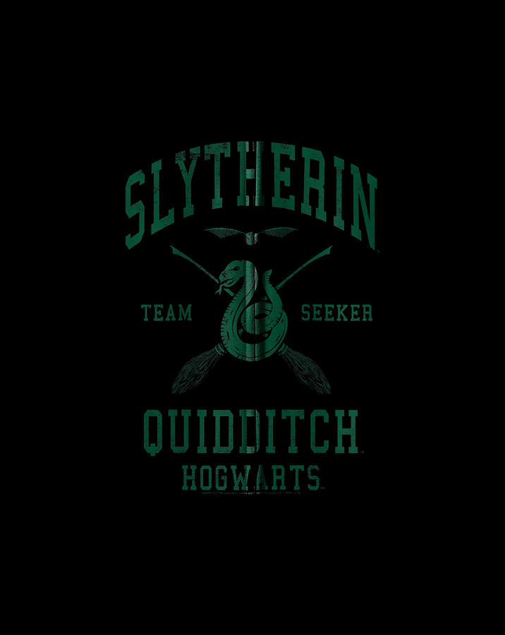 Harry Potter Slytherin Team Seeker Hogwarts Quidditch Digital Art by ...